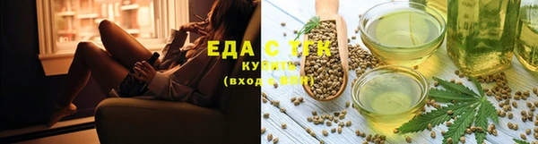 хмурый Белокуриха
