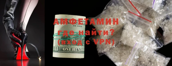 хмурый Белокуриха