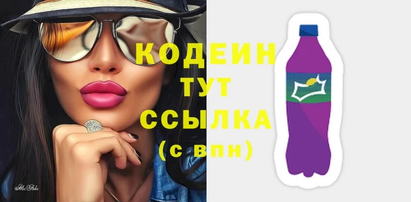 хмурый Белокуриха