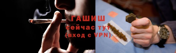 хмурый Белокуриха