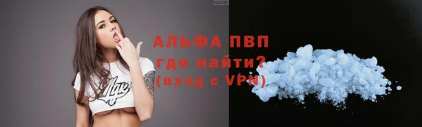 хмурый Белокуриха