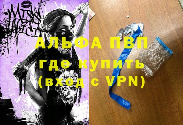 хмурый Белокуриха
